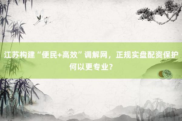 江苏构建“便民+高效”调解网，正规实盘配资保护何以更专业？