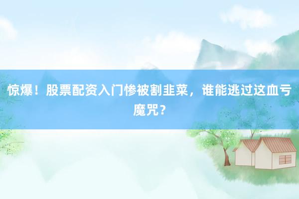 惊爆！股票配资入门惨被割韭菜，谁能逃过这血亏魔咒？