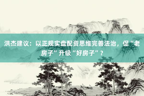 洪杰建议：以正规实盘配资思维完善法治，促“老房子”升级“好房子”？