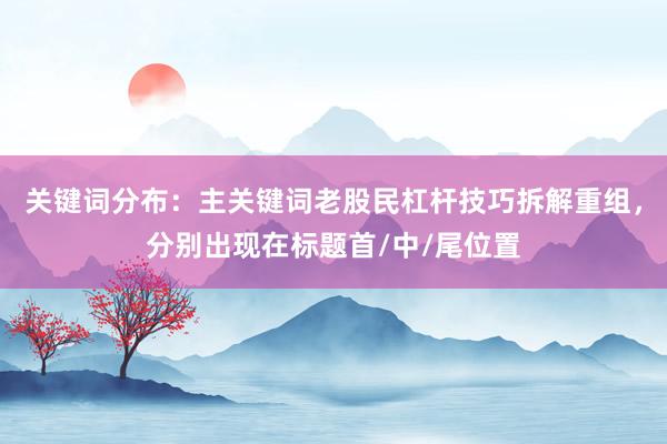 关键词分布：主关键词老股民杠杆技巧拆解重组，分别出现在标题首/中/尾位置