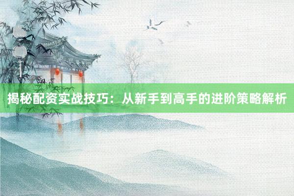 揭秘配资实战技巧：从新手到高手的进阶策略解析