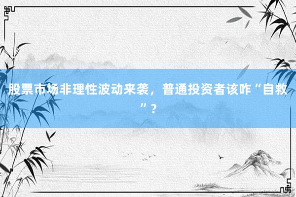 股票市场非理性波动来袭，普通投资者该咋“自救”？