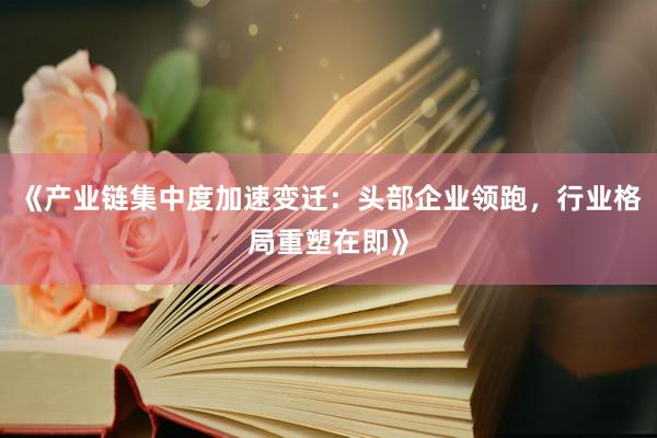 《产业链集中度加速变迁：头部企业领跑，行业格局重塑在即》