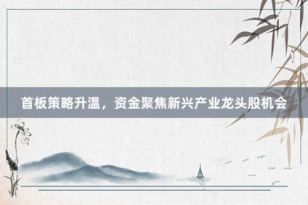 首板策略升温，资金聚焦新兴产业龙头股机会