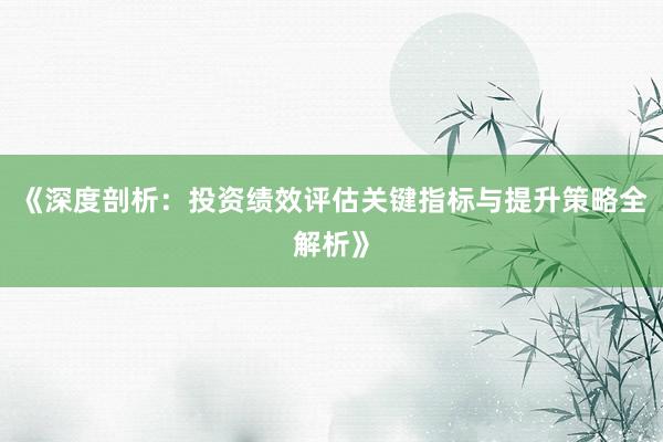 《深度剖析:投资绩效评估关键指标与提升策略全解析》