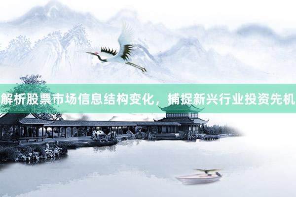 解析股票市场信息结构变化，捕捉新兴行业投资先机