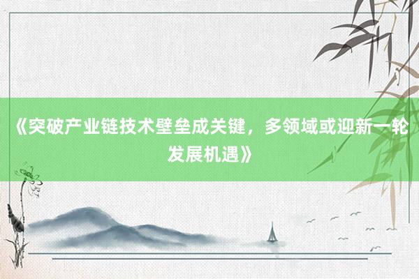 《突破产业链技术壁垒成关键，多领域或迎新一轮发展机遇》