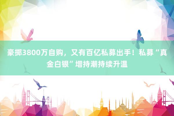 豪掷3800万自购，又有百亿私募出手！私募“真金白银”增持潮持续升温