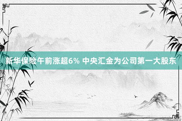 新华保险午前涨超6% 中央汇金为公司第一大股东