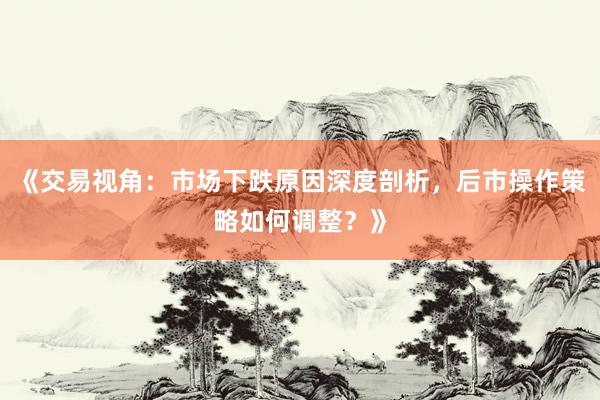 《交易视角：市场下跌原因深度剖析，后市操作策略如何调整？》