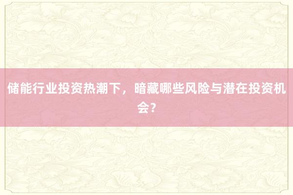 储能行业投资热潮下，暗藏哪些风险与潜在投资机会？