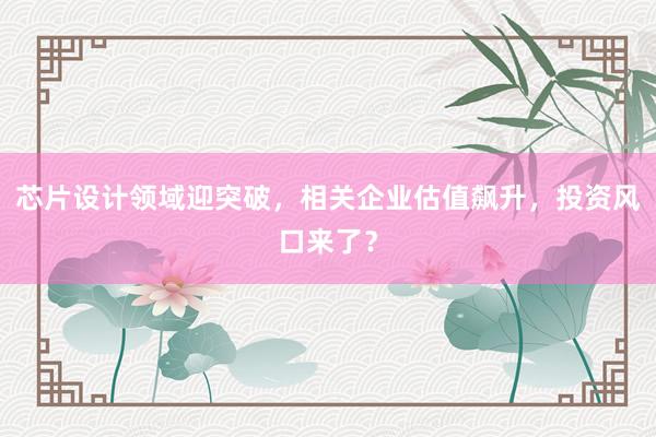 芯片设计领域迎突破，相关企业估值飙升，投资风口来了？