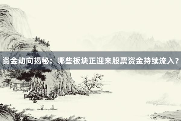 资金动向揭秘：哪些板块正迎来股票资金持续流入？