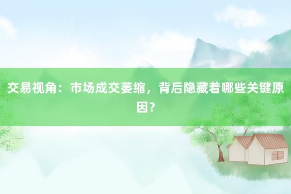 交易视角：市场成交萎缩，背后隐藏着哪些关键原因？