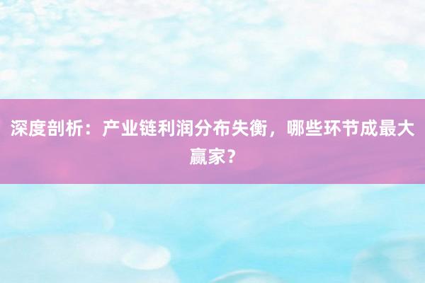 深度剖析：产业链利润分布失衡，哪些环节成最大赢家？