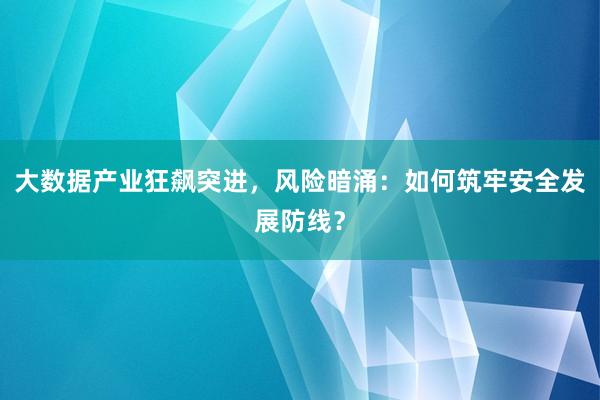 大数据产业狂飙突进,风险暗涌:如何筑牢安全发展防线?