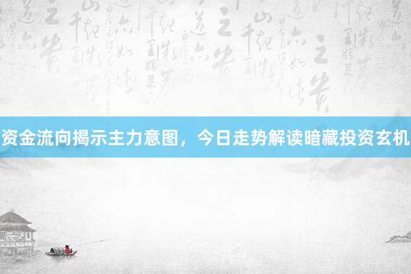 资金流向揭示主力意图,今日走势解读暗藏投资玄机