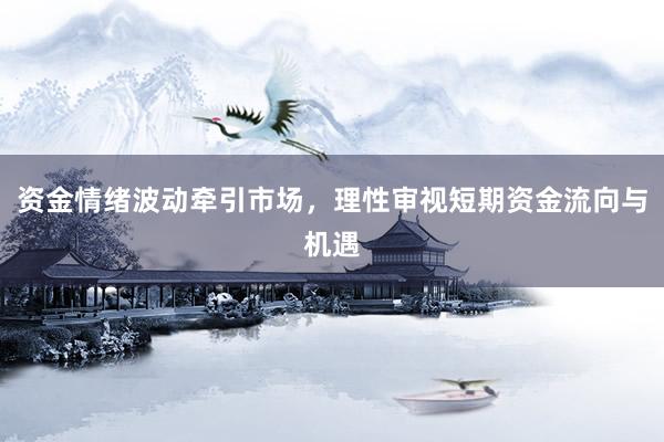 资金情绪波动牵引市场，理性审视短期资金流向与机遇