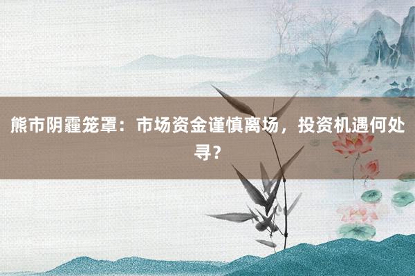 熊市阴霾笼罩：市场资金谨慎离场，投资机遇何处寻？