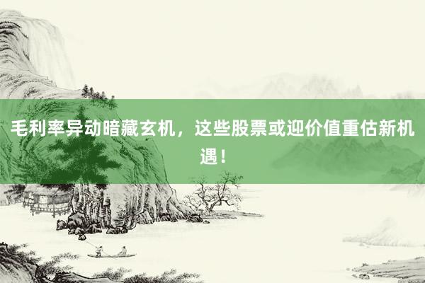 毛利率异动暗藏玄机，这些股票或迎价值重估新机遇！