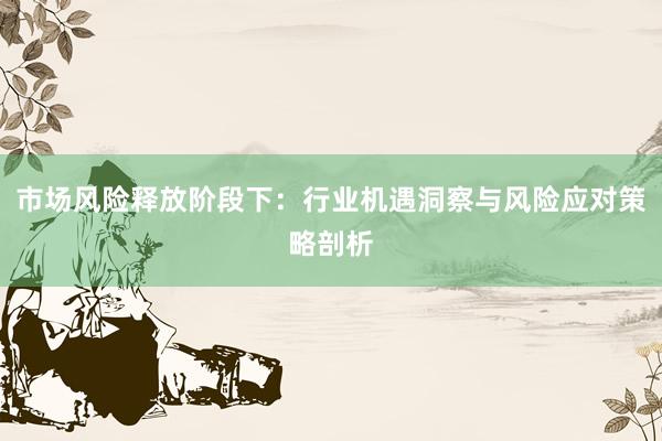 市场风险释放阶段下：行业机遇洞察与风险应对策略剖析