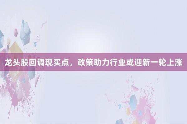 龙头股回调现买点，政策助力行业或迎新一轮上涨