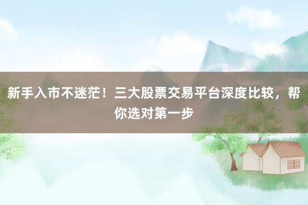 新手入市不迷茫！三大股票交易平台深度比较，帮你选对第一步